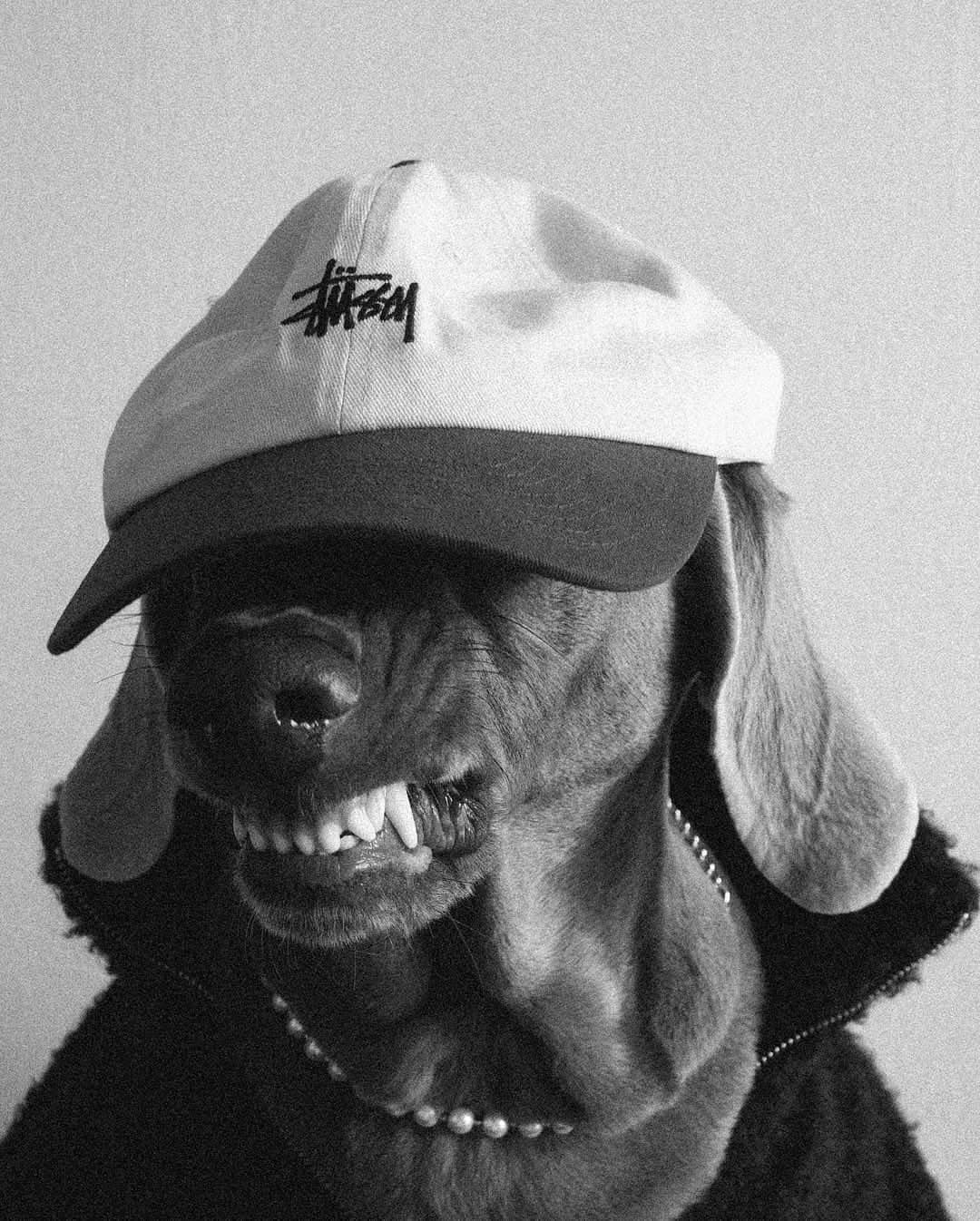 Stüssy History